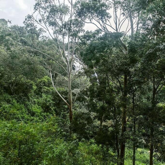 Ella Retreat Hotel Villa For Nature Lovers Exterior photo